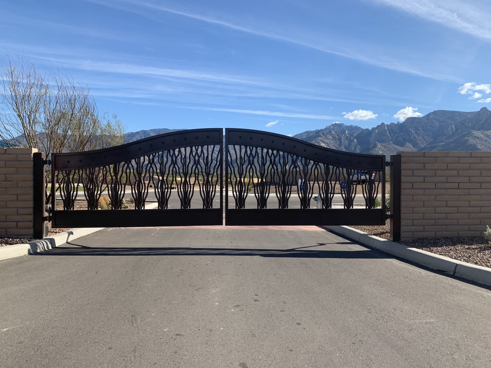 Custom ornamental iron driveway gate with organic wave pattern and Santa Catalina Mountain backdrop — Signal Gates installation